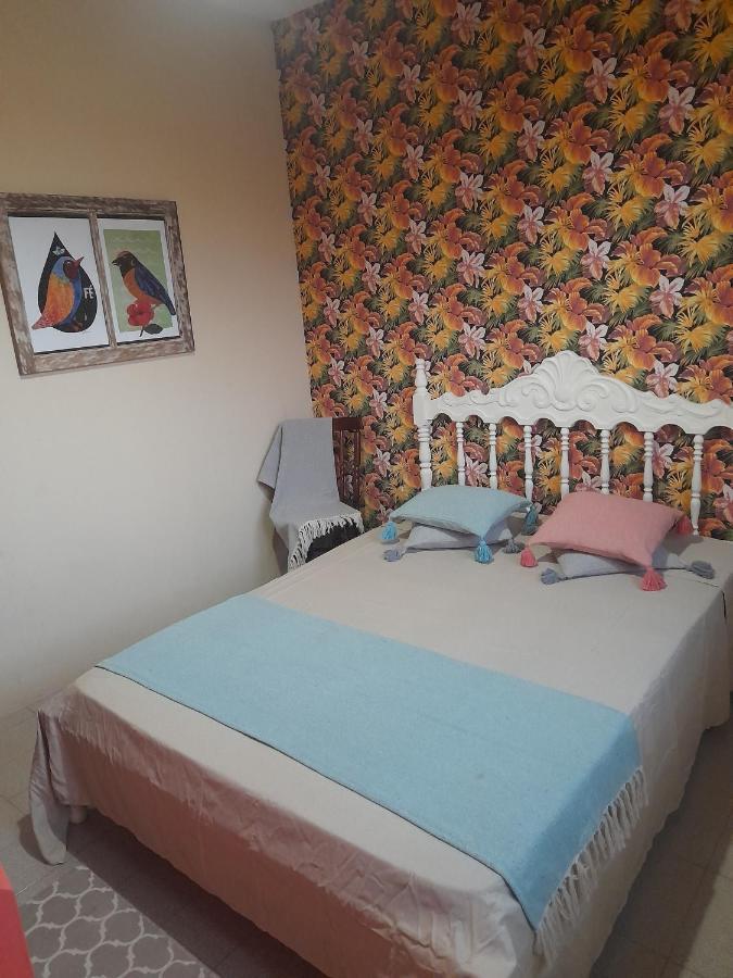 Katsbarnea Hostel Florianópolis Exteriér fotografie