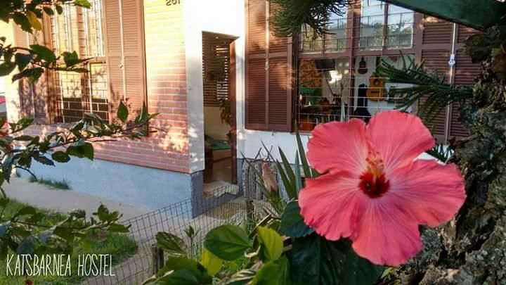 Katsbarnea Hostel Florianópolis Exteriér fotografie